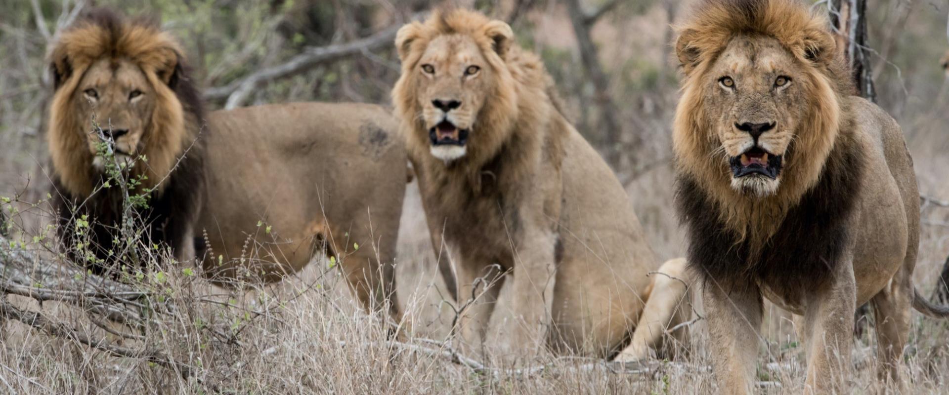 Authentic Adventure in TZ